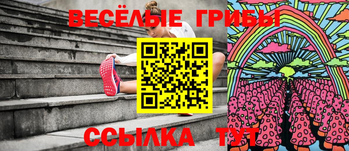 Галлюциногенные грибы Psilocybine cubensis Карачаевск